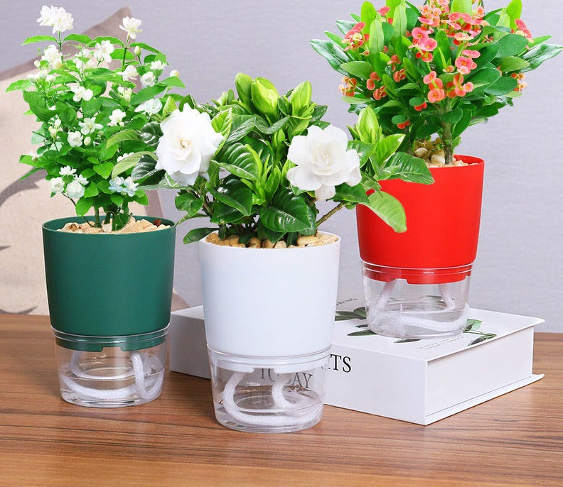 Self Watering Pot